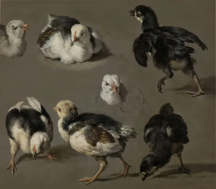 Framed Print : Seven Chicks, c.1665-c.1668. Creator: Melchior d'Hondecoeter Framed Print : Seven Chicks, c.1665-c.1668. Creator: Melchior d'Hondecoeter