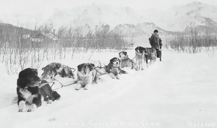Framed Print : Seward and Susitna mail team, between c1900 and c1930. Creator: Unknown Framed Print : Seward and Susitna mail team, between c1900 and c1930. Creator: Unknown