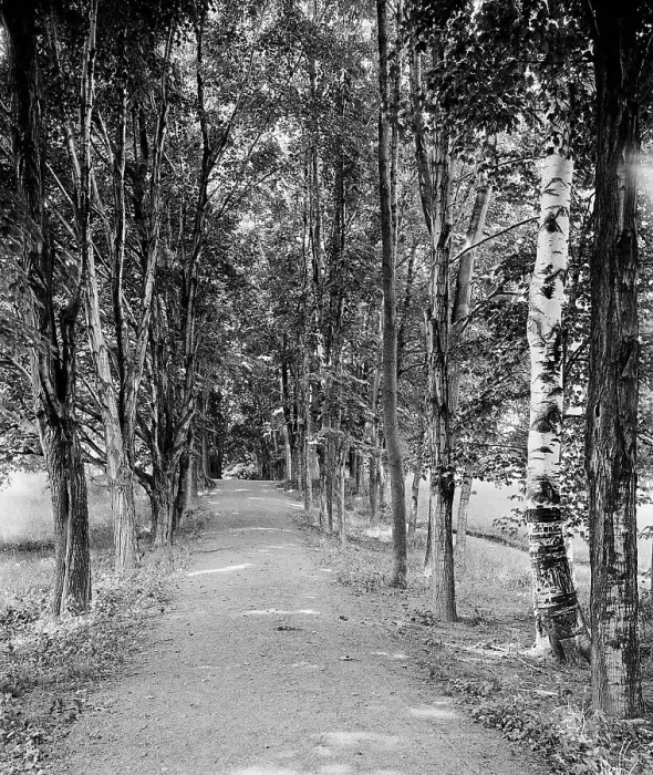 Framed Print : Shady path, Mount Holyoke College, South Hadley, Mass. c1908. Creator: William H. Jackson Framed Print : Shady path, Mount Holyoke College, South Hadley, Mass. c1908. Creator: William H. Jackson
