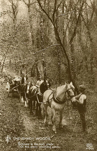 In the Shady Woods, late 19th or early 20th century
