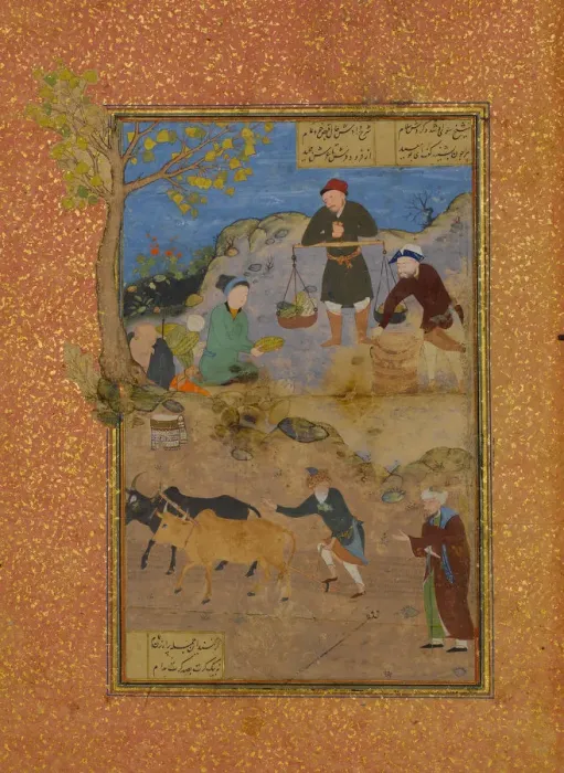 Framed Print : Shaikh Mahneh and the Villager, Folio 49r from a Mantiq al-tair (Language of the Birds) Framed Print : Shaikh Mahneh and the Villager, Folio 49r from a Mantiq al-tair (Language of the Birds)