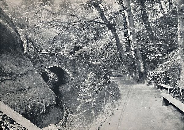 Shanklin - The Chine, 1895