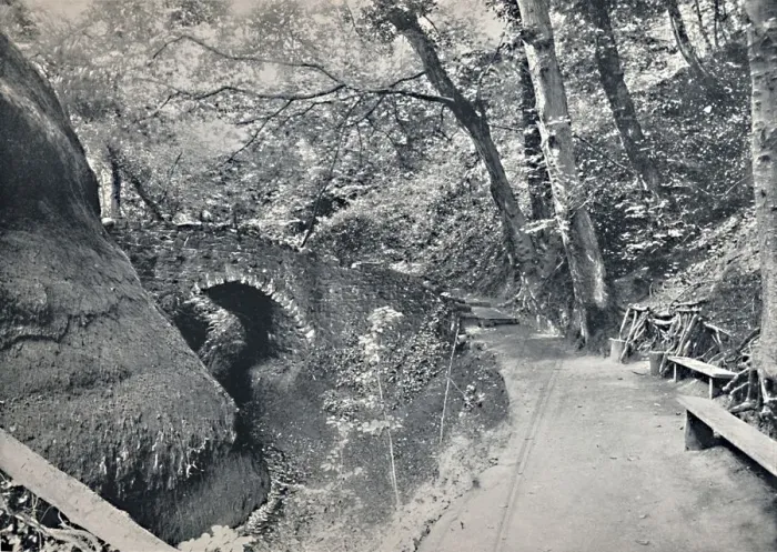 Framed Print : Shanklin - The Chine, 1895 Framed Print : Shanklin - The Chine, 1895