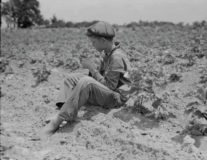 Framed Print : Sharecropper boy near Chesnee, South Carolina, 1937. Creator: Dorothea Lange Framed Print : Sharecropper boy near Chesnee, South Carolina, 1937. Creator: Dorothea Lange