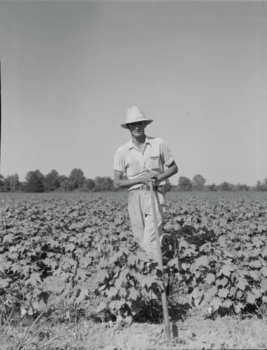 Framed Print : Sharecropper of the Mississippi Delta, Issaquena County, Mississippi, 1937. Creator: Dorothea Lange Framed Print : Sharecropper of the Mississippi Delta, Issaquena County, Mississippi, 1937. Creator: Dorothea Lange