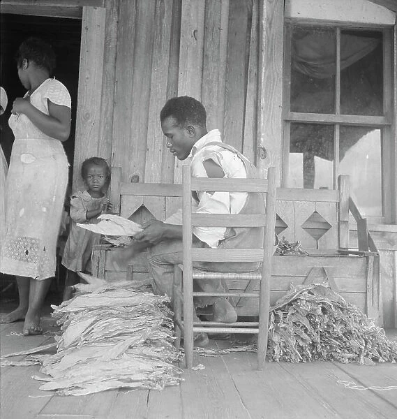 Sharecroppers grade the cured leaves on the porches...tobacco auction, near Douglas, Georgia, 1938. Creator: Dorothea Lange