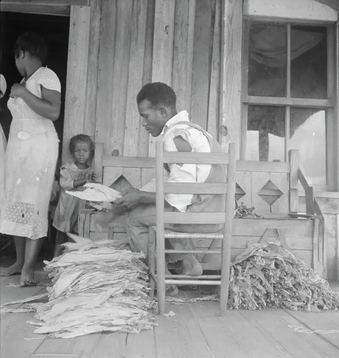 Framed Print : Sharecroppers grade the cured leaves on the porches...tobacco auction, near Douglas, Georgia, 1938. Creator: Dorothea Lange Framed Print : Sharecroppers grade the cured leaves on the porches...tobacco auction, near Douglas, Georgia, 1938. Creator: Dorothea Lange