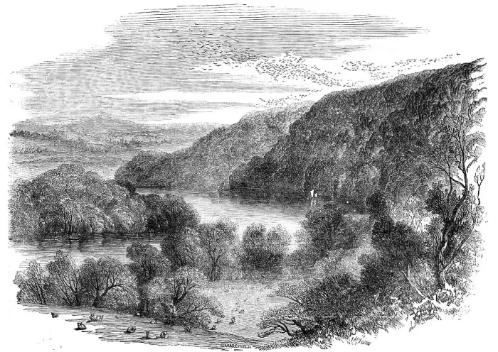 Framed Print : Sharpham, on the Dart, Devon - the Largest Rookery in England, 1856. Creator: Edmund Evans Framed Print : Sharpham, on the Dart, Devon - the Largest Rookery in England, 1856. Creator: Edmund Evans