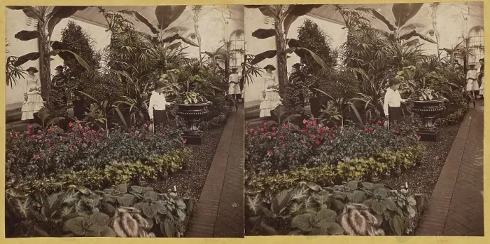 Framed Print : Shaw's Garden. Int. of Palm-House, western wing. St. Louis, Missouri, about 1872-1874. Creator: Boehl & Koenig Framed Print : Shaw's Garden. Int. of Palm-House, western wing. St. Louis, Missouri, about 1872-1874. Creator: Boehl & Koenig