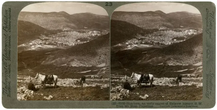 Framed Print : Shechem, south-west from Mount Ebal, Palestine, 1900s. Artist: Underwood & Underwood Framed Print : Shechem, south-west from Mount Ebal, Palestine, 1900s. Artist: Underwood & Underwood