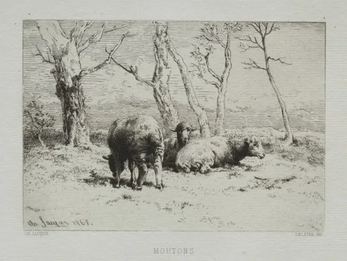 Framed Print : Sheep, 1868. Creator: Charles-Emile Jacque (French, 1813-1894) Framed Print : Sheep, 1868. Creator: Charles-Emile Jacque (French, 1813-1894)