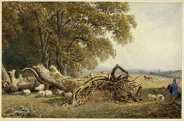 Sheep, Cows, and Herdsman by Uprooted Tree, 1802 / 1856. Creator: Frederick Nash