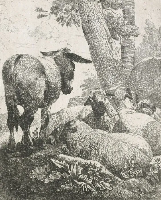 Framed Print : Sheep, goats and cows series: Donkey and sheep, 1668-1670. Creator: Johann Heinrich Roos Framed Print : Sheep, goats and cows series: Donkey and sheep, 1668-1670. Creator: Johann Heinrich Roos