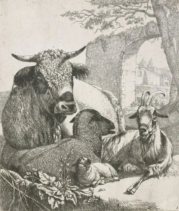 Framed Print : Sheep, goats and cows series: Recumbent bull, 1668-1670. Creator: Johann Heinrich Roos Framed Print : Sheep, goats and cows series: Recumbent bull, 1668-1670. Creator: Johann Heinrich Roos