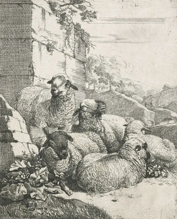 Framed Print : Sheep, goats and cows series: Four resting and one standing sheep, 1668-1670. Creator: Johann Heinrich Roos