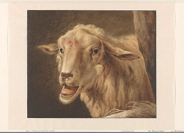 Sheep head, 1808. Creator: Jean Zacherie Mazel