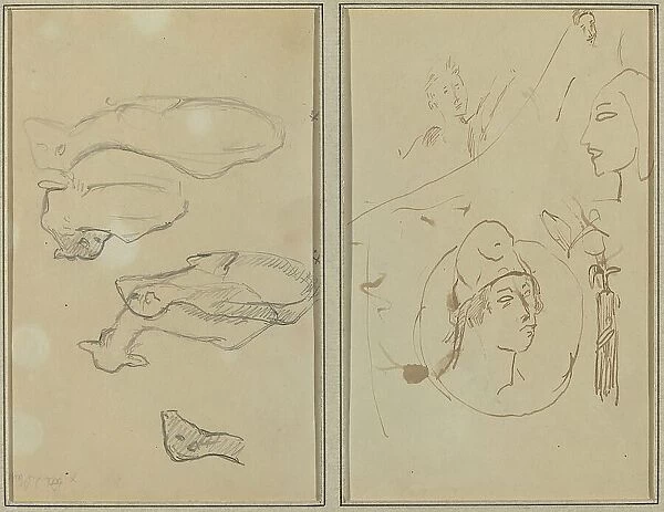 Five Sheep; Four Head Studies [verso], 1884-1888. Creator: Paul Gauguin