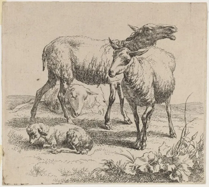 Framed Print : Three Sheep and a Lamb. Creator: Nicolaes Berchem Framed Print : Three Sheep and a Lamb. Creator: Nicolaes Berchem
