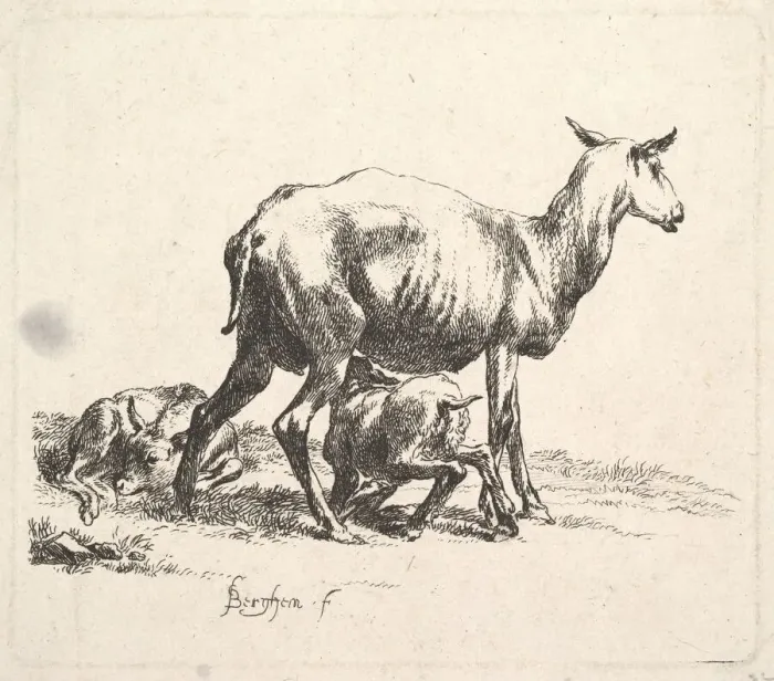 Framed Print : Sheep with Lamb Nursing. Creator: Nicolaes Berchem Framed Print : Sheep with Lamb Nursing. Creator: Nicolaes Berchem