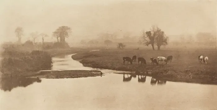 Framed Print : Sheep on the Marshes [Landscape with Cattle], 1890-1891, printed 1893