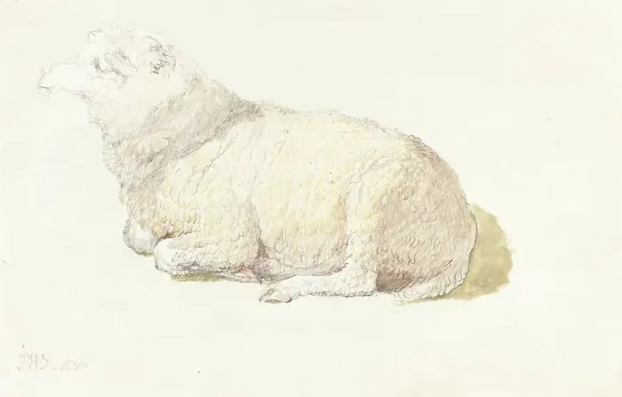 Framed Print : A Sheep Resting, c. 1800 / 1810. Creator: James Ward Framed Print : A Sheep Resting, c. 1800 / 1810. Creator: James Ward