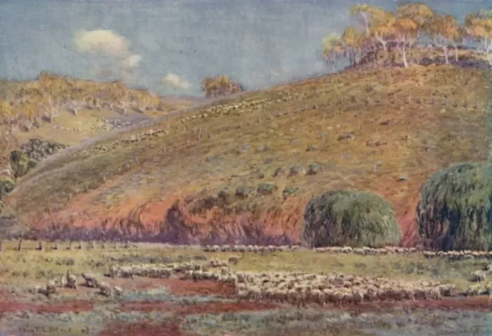 Framed Print : A Sheep-Run, 1923. Creator: Unknown Framed Print : A Sheep-Run, 1923. Creator: Unknown