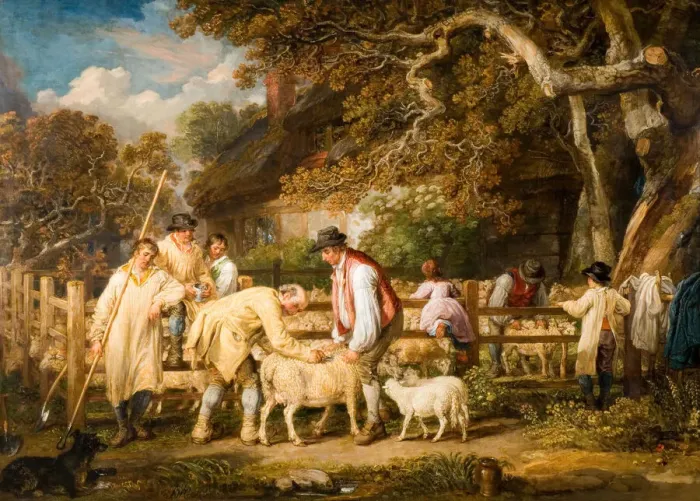 Framed Print : Sheep Salving, 1828. Creator: James Ward Framed Print : Sheep Salving, 1828. Creator: James Ward