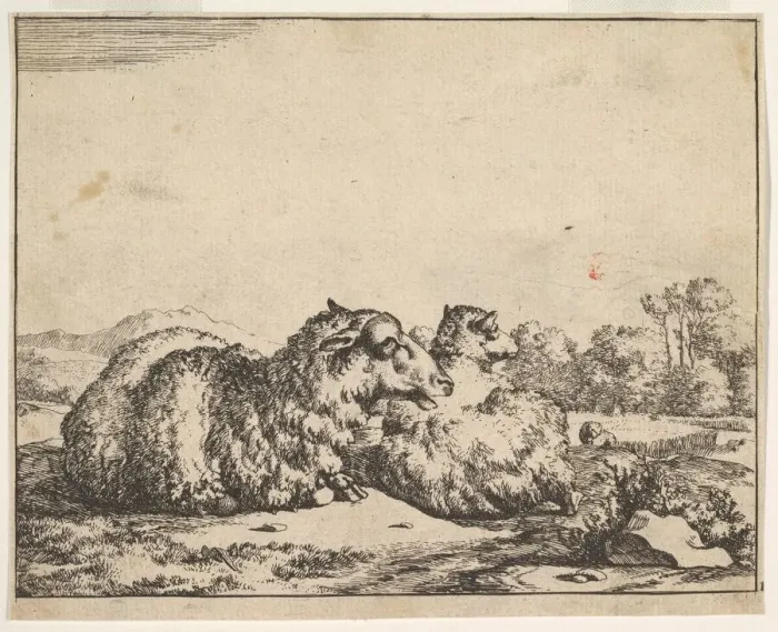 Framed Print : Sheep, from a set of 16 plates, 1664. Creator: Marcus de Bye Framed Print : Sheep, from a set of 16 plates, 1664. Creator: Marcus de Bye