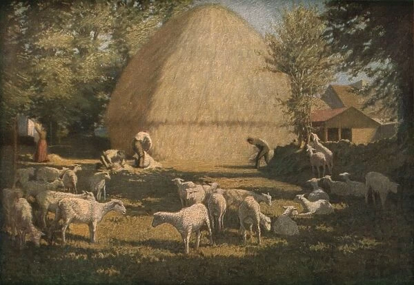 Sheep Shearing, 1901, (c1930). Creator: Dermod O Brien