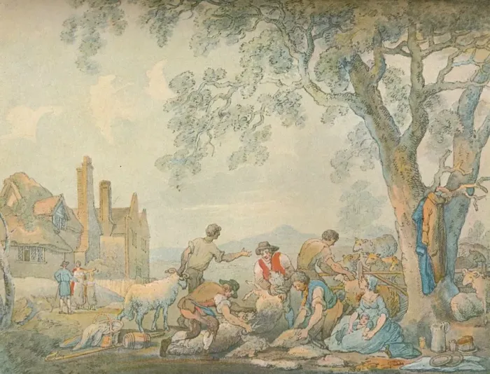 Framed Print : Sheep-Shearing, c1776-1827, (1906). Artist: Thomas Rowlandson Framed Print : Sheep-Shearing, c1776-1827, (1906). Artist: Thomas Rowlandson