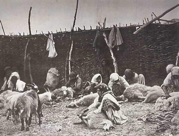 Sheep shearing, Russia, c1875-c1877. Artist: Ivan Boldyrev