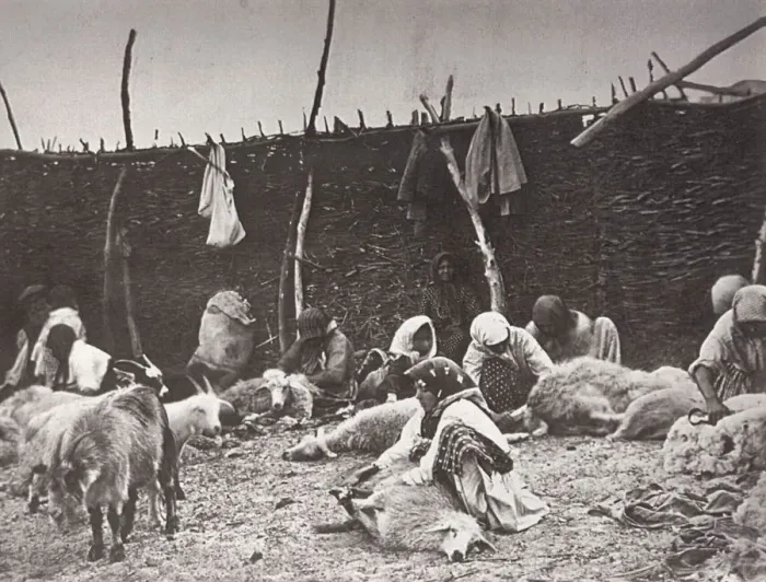 Framed Print : Sheep shearing, Russia, c1875-c1877. Artist: Ivan Boldyrev Framed Print : Sheep shearing, Russia, c1875-c1877. Artist: Ivan Boldyrev