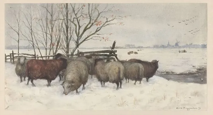Framed Print : Sheep in the snow, 1878. Creator: George Poggenbeek Framed Print : Sheep in the snow, 1878. Creator: George Poggenbeek