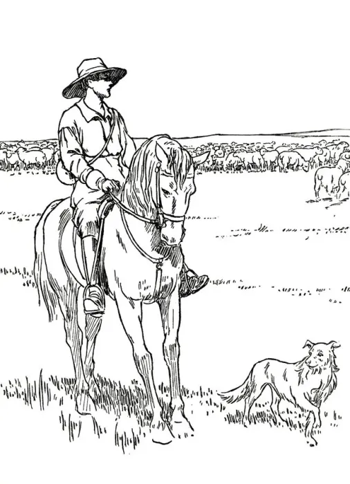 Framed Print : A Sheep-Station in Australia, 1912. Artist: Charles Robinson Framed Print : A Sheep-Station in Australia, 1912. Artist: Charles Robinson