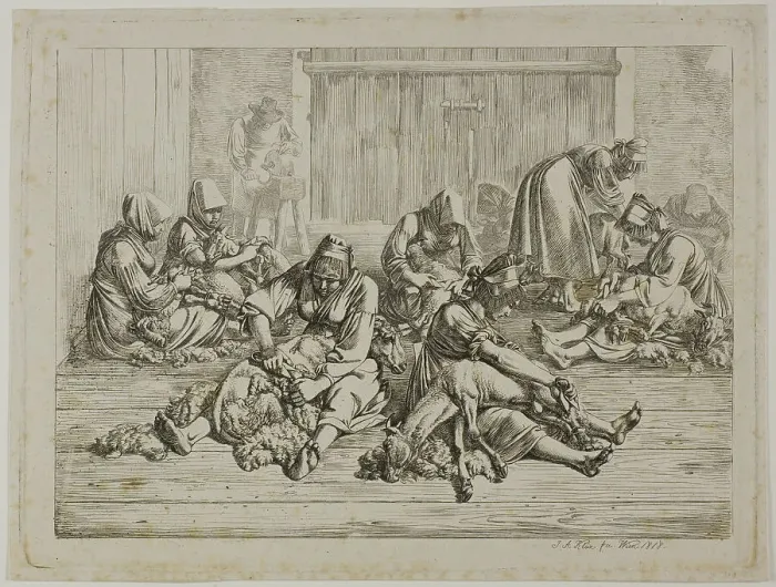 Framed Print : Sheepshearing, 1818. Creator: Johann Adam Klein Framed Print : Sheepshearing, 1818. Creator: Johann Adam Klein
