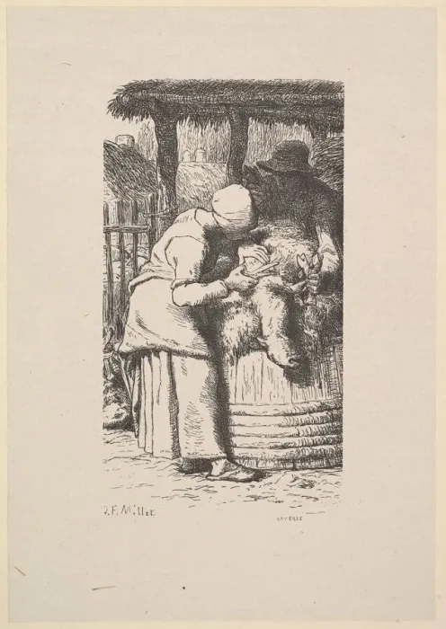 Framed Print : Sheepshearing, 1853. Creator: Jacques-Adrien Lavieille Framed Print : Sheepshearing, 1853. Creator: Jacques-Adrien Lavieille