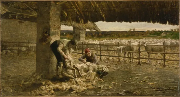 Framed Print : The Sheepshearing, 1883-1884. Artist: Segantini, Giovanni (1858-1899) Framed Print : The Sheepshearing, 1883-1884. Artist: Segantini, Giovanni (1858-1899)
