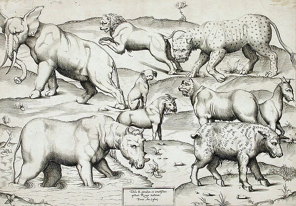 Sheet of Animals, 1547. Creators: Enea Vico, Antonio Lafreri