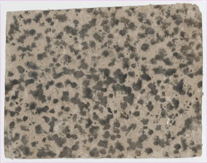 Framed Print : Sheet with an overall splotchy pattern, 19th century. Creator: Anon Framed Print : Sheet with an overall splotchy pattern, 19th century. Creator: Anon