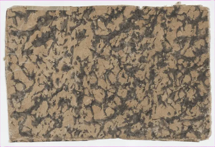 Framed Print : Sheet with overall splotchy pattern, 19th century. Creator: Anon Framed Print : Sheet with overall splotchy pattern, 19th century. Creator: Anon