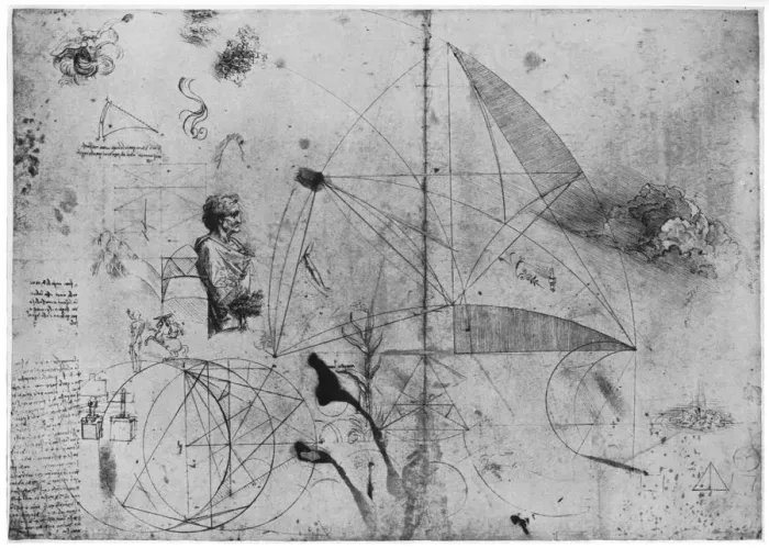 Framed Print : Sheet of studies, late 15th or early 16th century (1954). Artist: Leonardo da Vinci Framed Print : Sheet of studies, late 15th or early 16th century (1954). Artist: Leonardo da Vinci