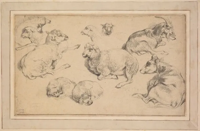 Framed Print : Sheet of Studies with Sheep, Goats, and Dogs, c. 1780. Creator: Jean-Baptiste Marie Hüet Framed Print : Sheet of Studies with Sheep, Goats, and Dogs, c. 1780. Creator: Jean-Baptiste Marie Hüet
