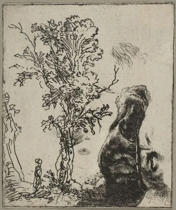 Framed Print : Sheet with Two Studies: A Tree and the Upper Part of a Head of Rembrandt Wearing a Vel Framed Print : Sheet with Two Studies: A Tree and the Upper Part of a Head of Rembrandt Wearing a Vel