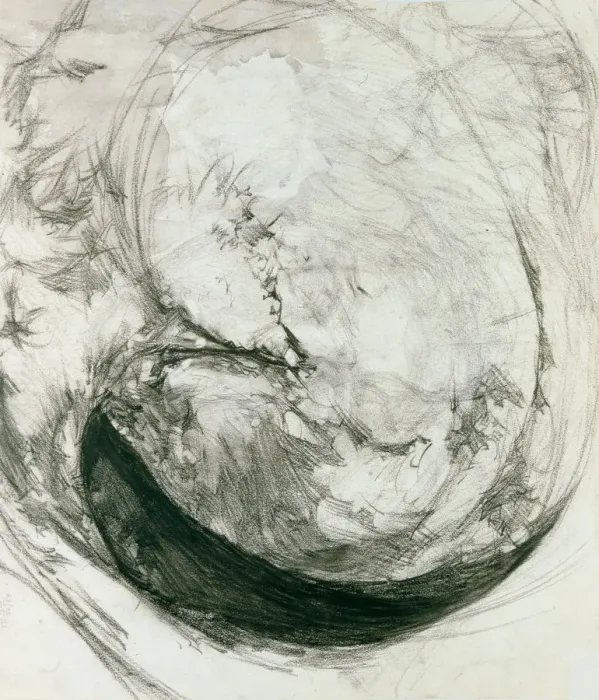 Framed Print : Shell, 1904. Artist: Vrubel, Mikhail Alexandrovich (1856-1910) Framed Print : Shell, 1904. Artist: Vrubel, Mikhail Alexandrovich (1856-1910)
