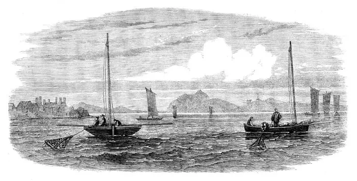 Framed Print : The Shellfish Supplies: oyster-boats dredging off Prestonpans, 1862. Creator: Unknown Framed Print : The Shellfish Supplies: oyster-boats dredging off Prestonpans, 1862. Creator: Unknown