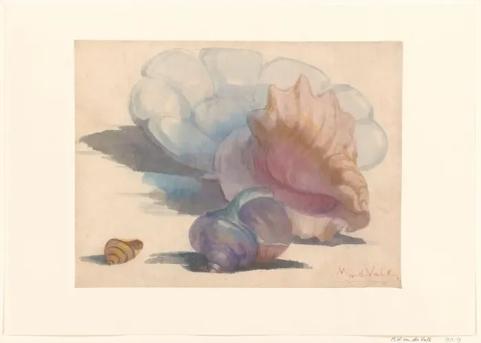 Framed Print : Three shells with a Delft folding dish, 1867-1935. Creator: Maurits Willem van der Valk Framed Print : Three shells with a Delft folding dish, 1867-1935. Creator: Maurits Willem van der Valk