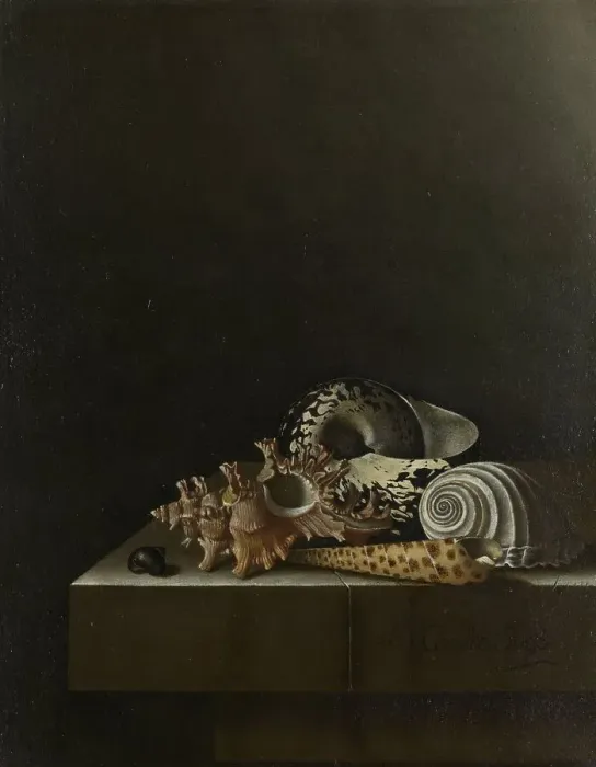 Framed Print : Shells on a Stone Plinth, 1698. Creator: Adriaen Coorte Framed Print : Shells on a Stone Plinth, 1698. Creator: Adriaen Coorte