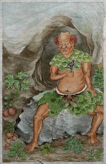 Framed Print : Shen Nung, (between 1800 and 1899?). Creator: Unknown Framed Print : Shen Nung, (between 1800 and 1899?). Creator: Unknown
