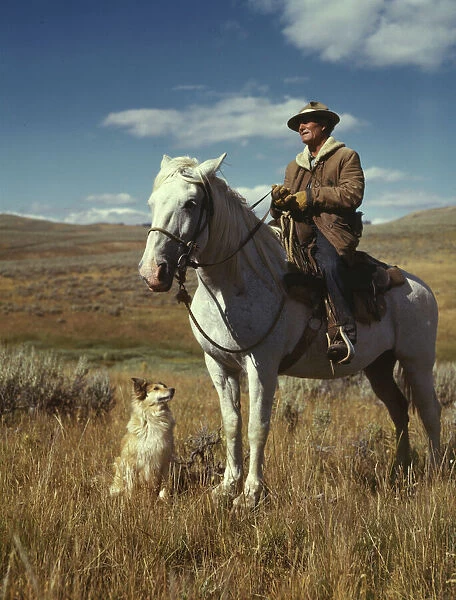 Shepherd with his horse and dog on Gravelly Range, Madison County, Montana, 1942. Creator: Russell Lee