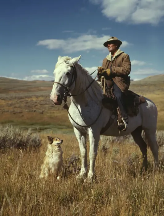 Framed Print : Shepherd with his horse and dog on Gravelly Range, Madison County, Montana, 1942. Creator: Russell Lee Framed Print : Shepherd with his horse and dog on Gravelly Range, Madison County, Montana, 1942. Creator: Russell Lee